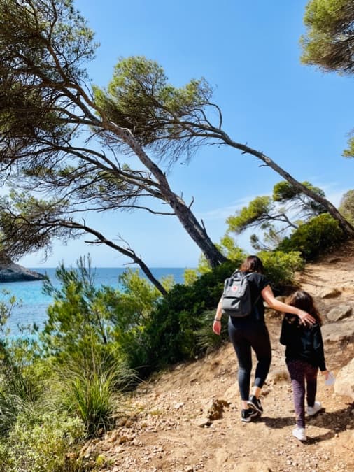 Two hikers on a coastal path through the pines